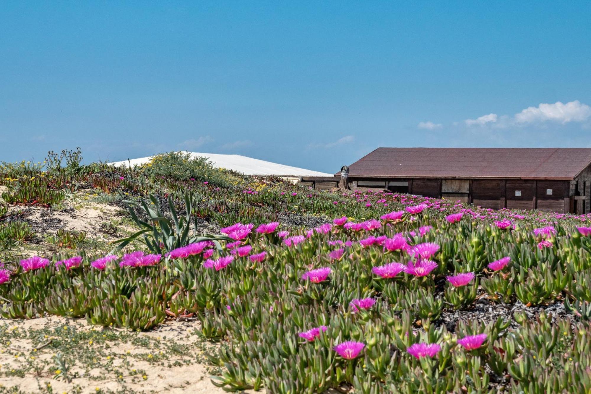 Precioso Chalet A Pie De Playa Punta Umbría Kültér fotó